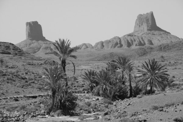 Bou Gafer Horseshoe