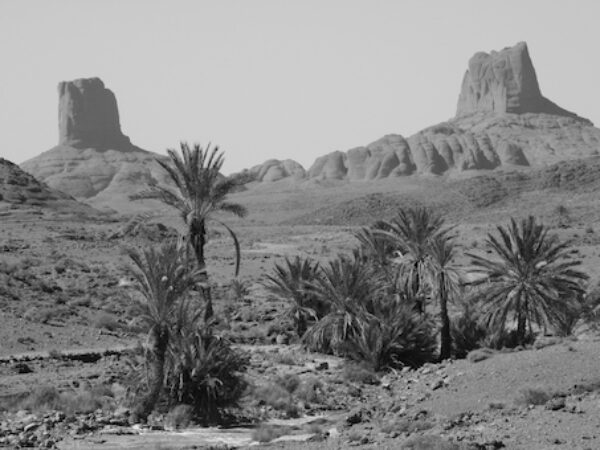 Bou Gafer Horseshoe