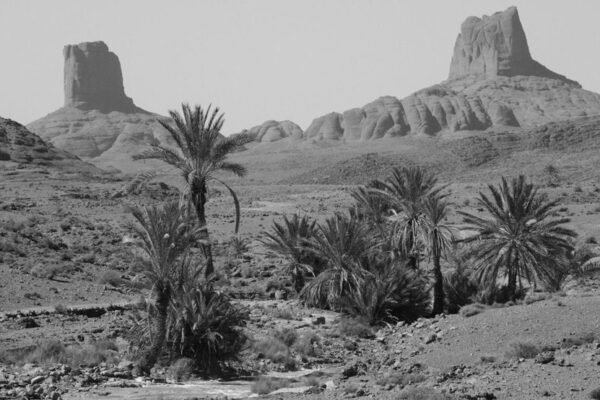 Bou Gafer Horseshoe