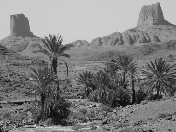 Bou Gafer Horseshoe