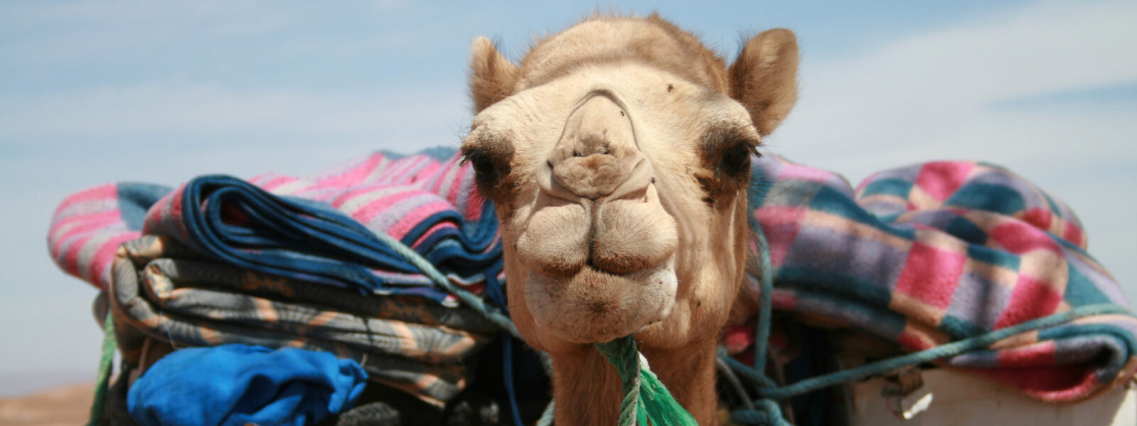 Erg Chigaga (M’HAMID)
