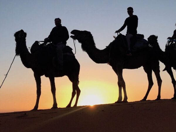 Erg Chebbi Desert Trip (Option 2)
