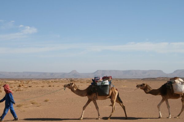 Erg Chigaga Desert Trip
