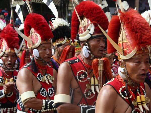 Hornbill Festival Tour