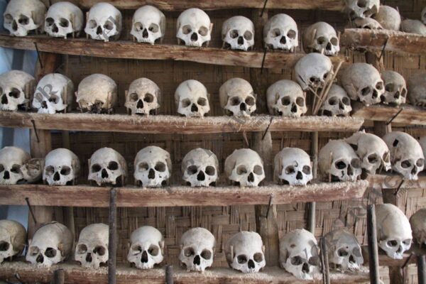 Nagaland Tribal Villages Tour