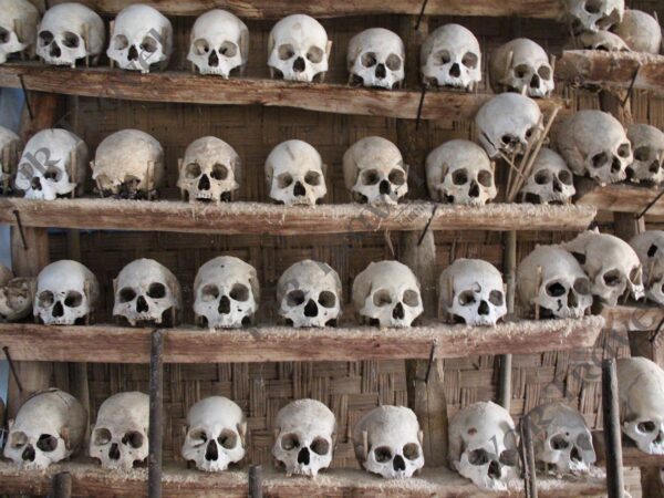 Nagaland Tribal Villages Tour