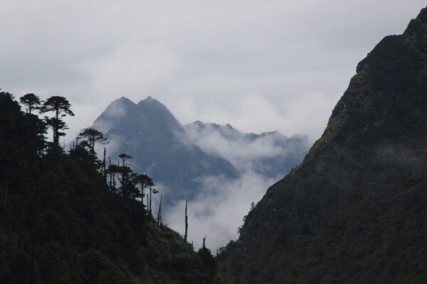 Trek to the Beyul of Pemako