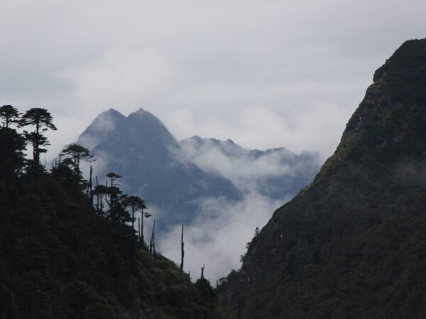 Trek to the Beyul of Pemako
