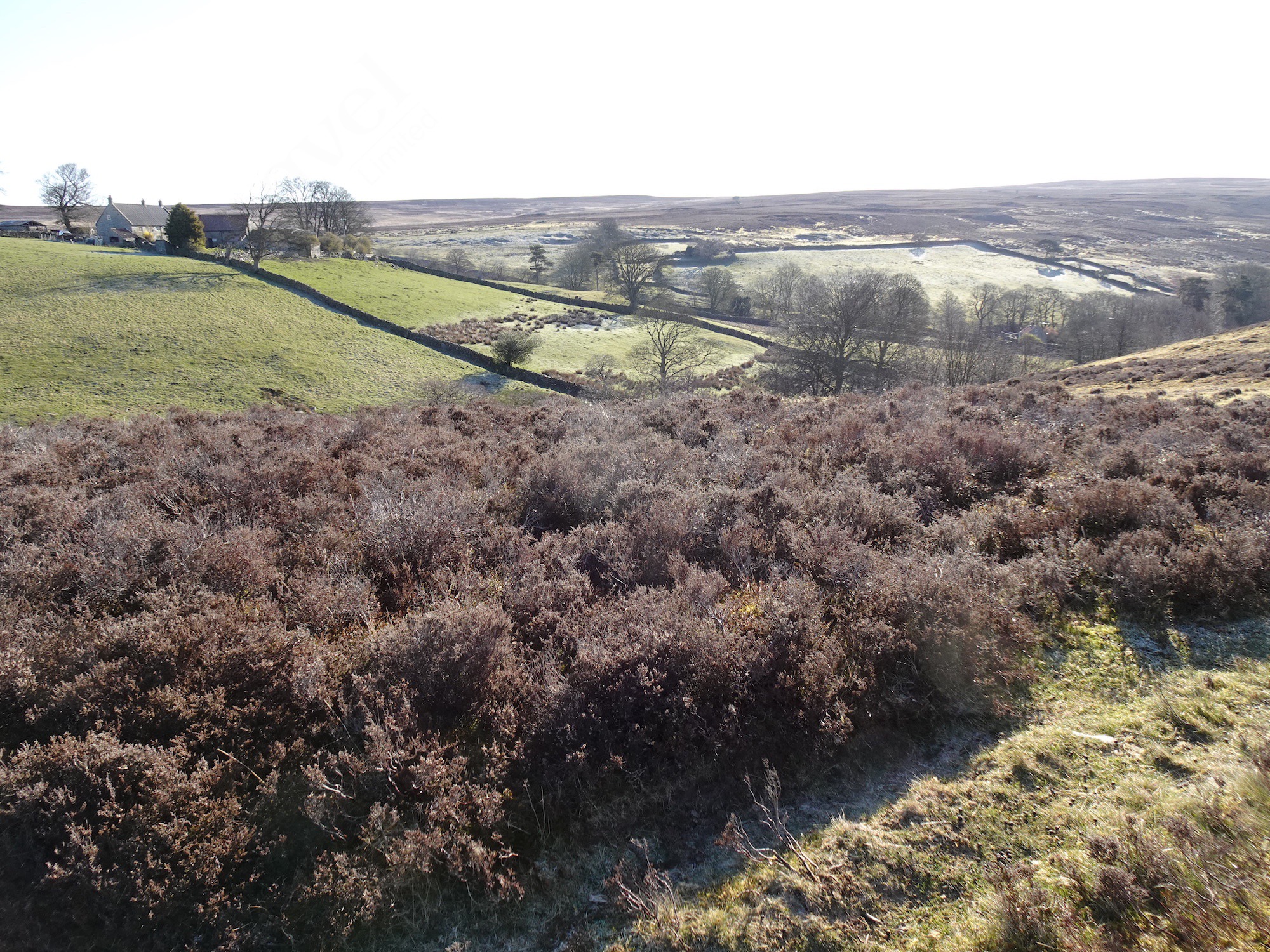 Across Hograh Moor