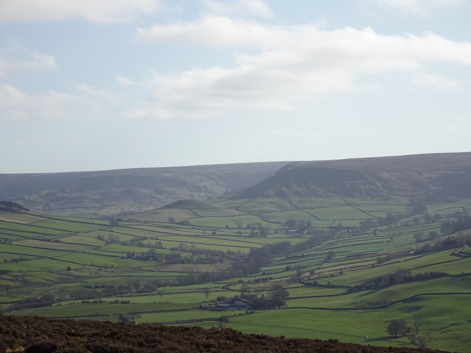 Across Hograh Moor