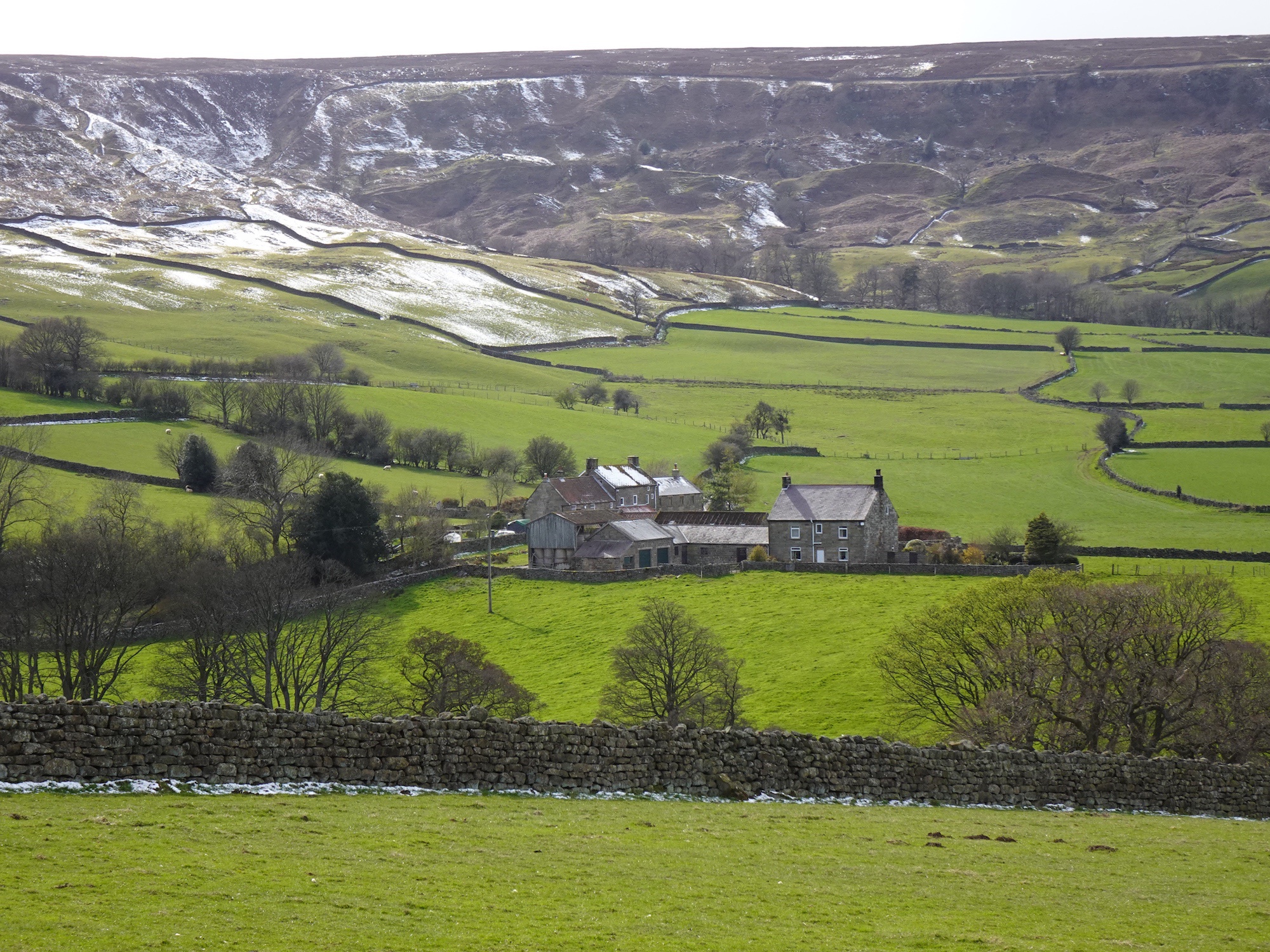 Across Hograh Moor