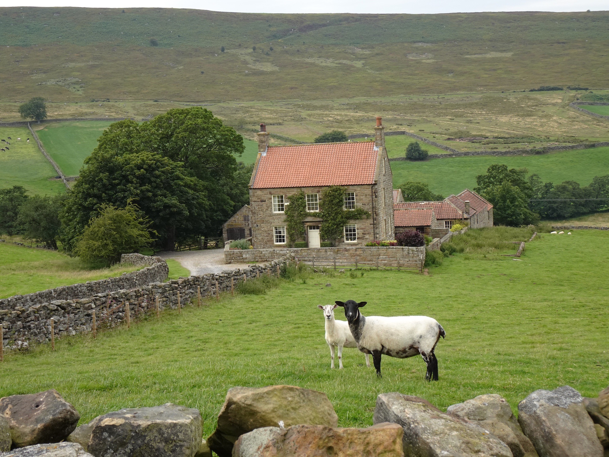 Across Hograh Moor
